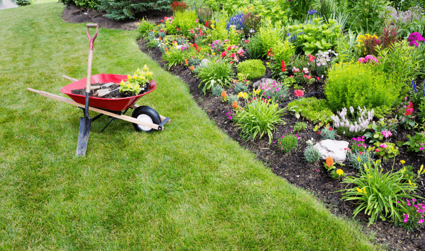 T&V Lawn care