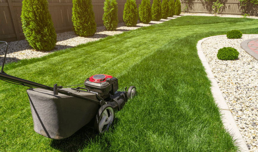 T&V Lawn care